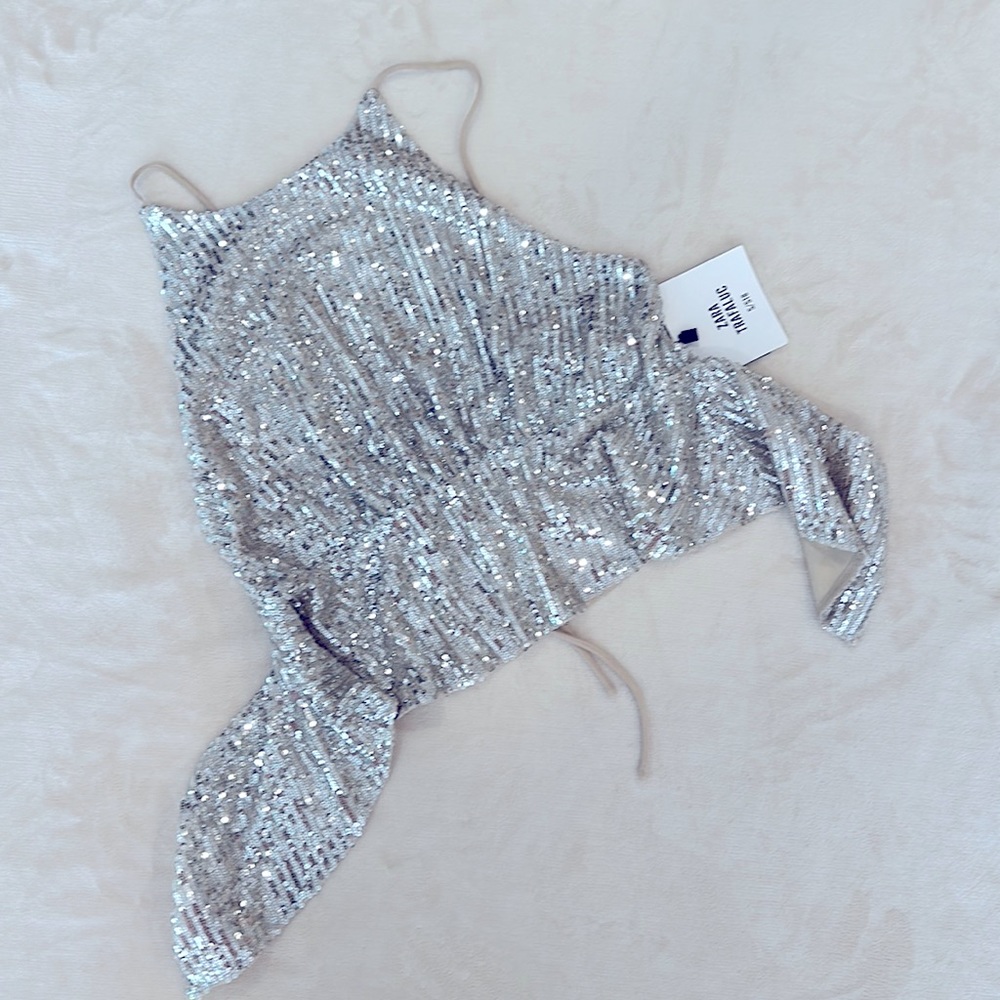 Zara Silver Sequin Top